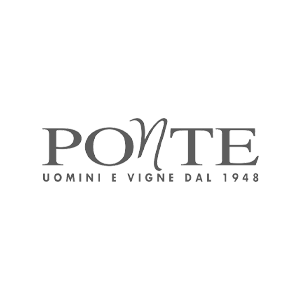 폰떼 (Ponte)